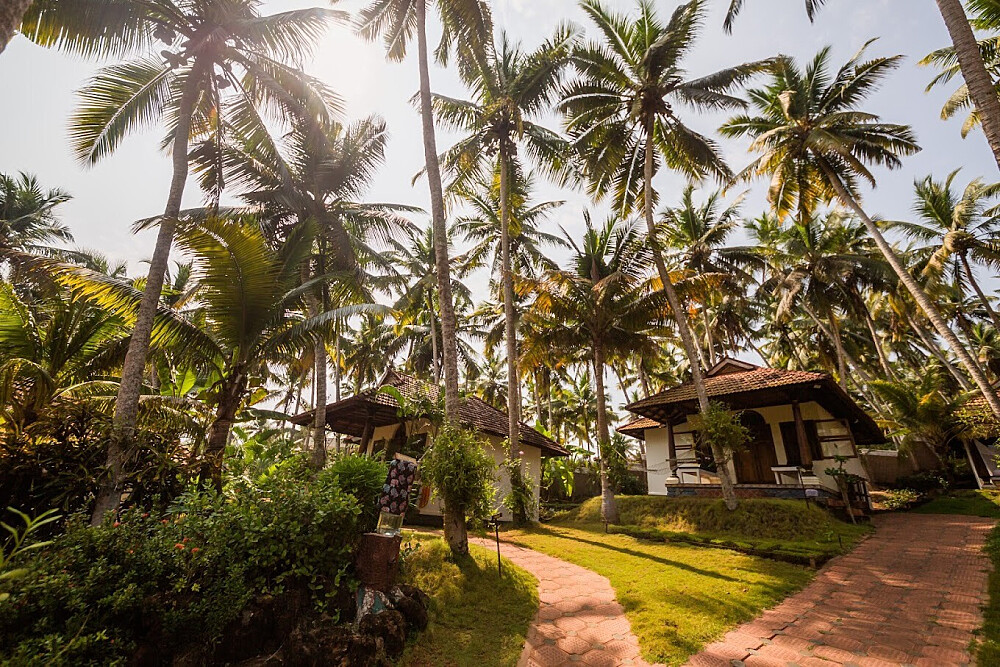 Retiro de Yoga e Ayurveda Rejuvenescedor de 7 Noites no Kerala, Índia 14