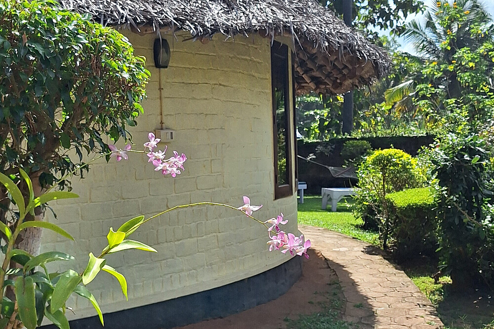 Retiro de Yoga e Ayurveda Rejuvenescedor de 7 Noites no Kerala, Índia 16