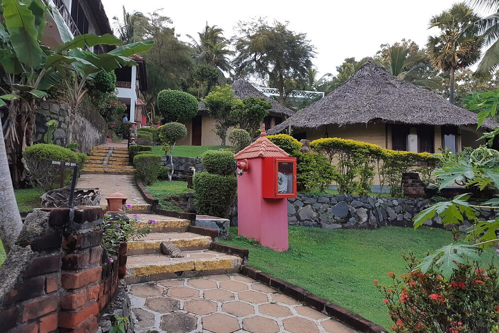 Retiro de Yoga e Ayurveda Rejuvenescedor de 7 Noites no Kerala, Índia 12