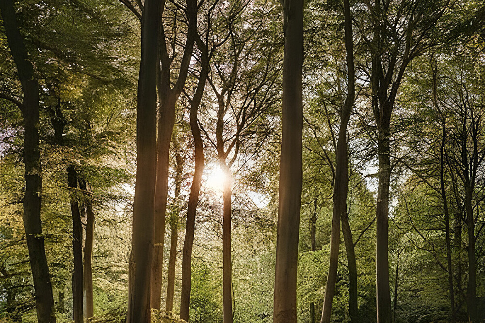 Retiro de 8 días «Back-to-Basics» en Murols, Francia 25