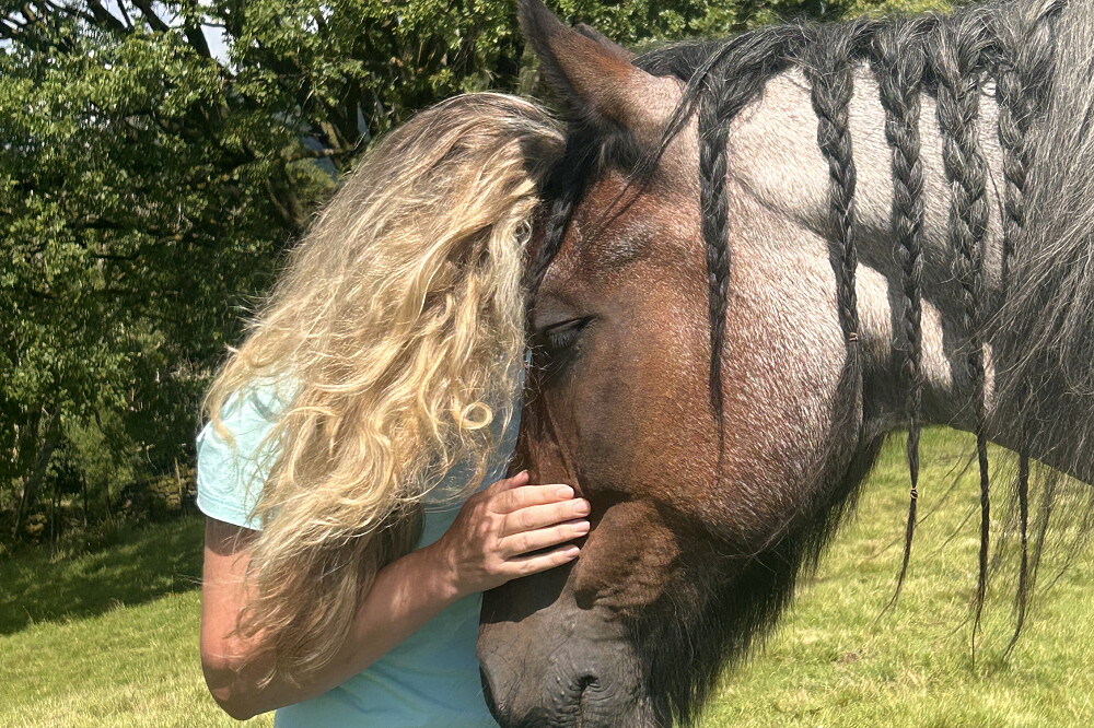 Retiro de Cura Silenciosa com Cavalos de 8 Dias em Cumbria 15