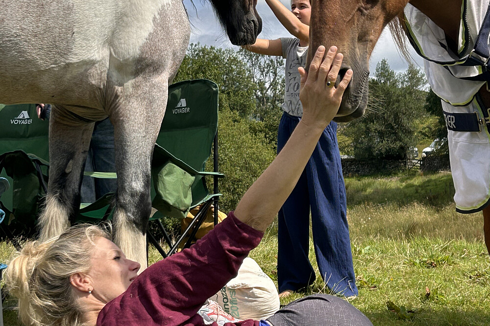 Retiro de Cura Silenciosa com Cavalos de 8 Dias em Cumbria 10