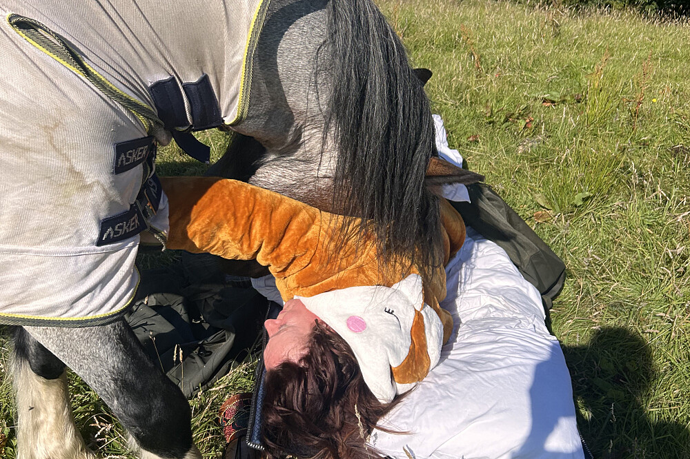 Retiro de Cura Silenciosa com Cavalos de 8 Dias em Cumbria 17