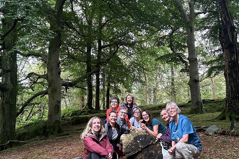 8 Day Silent Healing With Horses Retreat in Cumbria