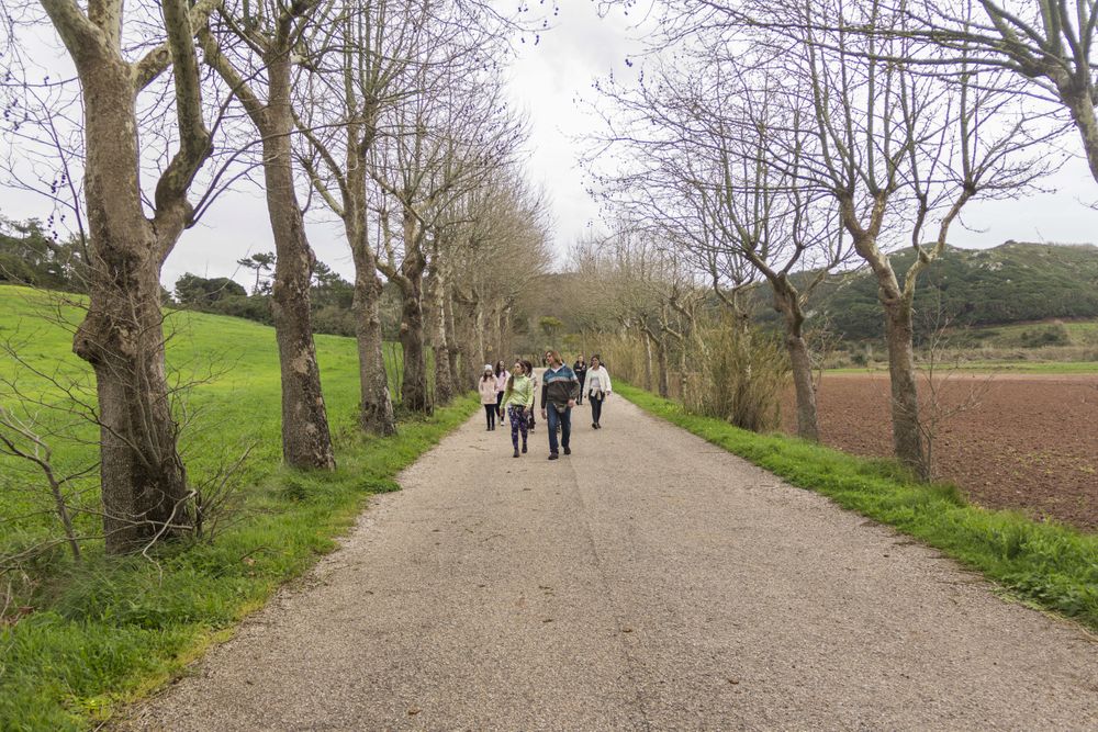 Retiro de Surf e Yoga de 8 Dias em Santa Cruz, Portugal 18