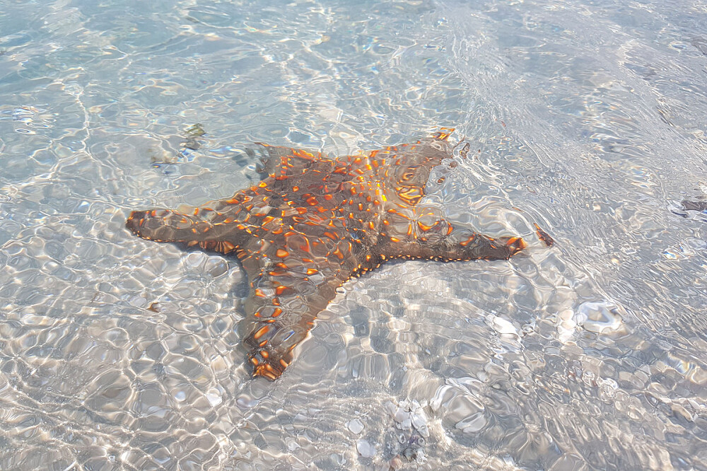 8 Day Women's Retreat Beach Safari & Wellness in Unique Africa 17