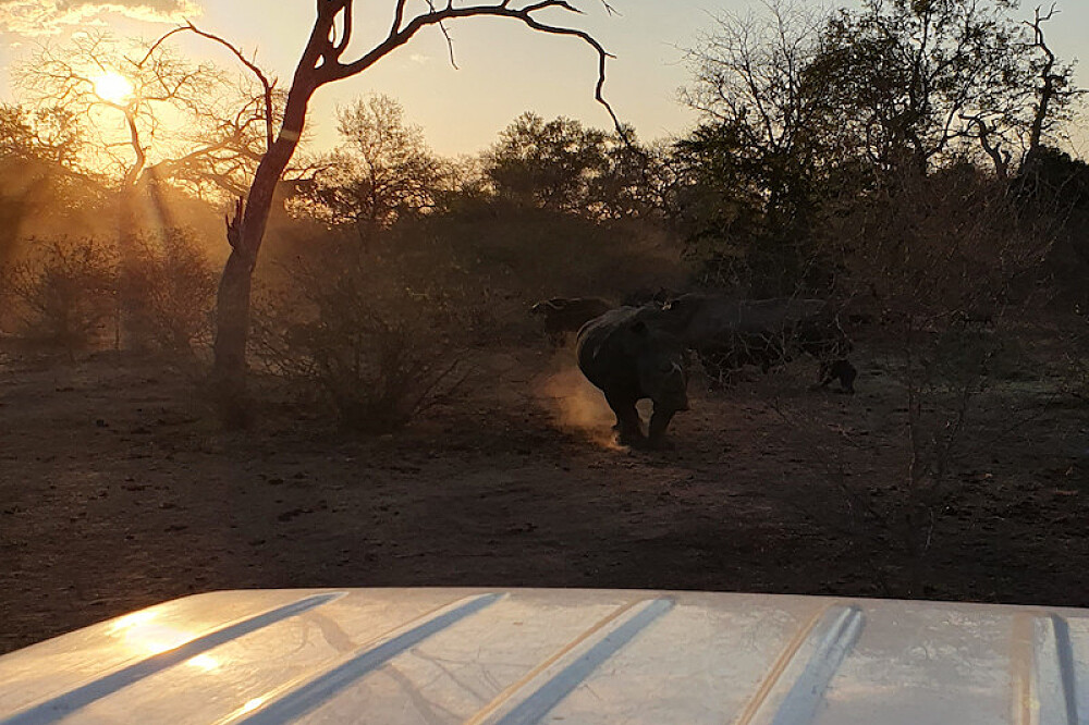 8 Day Women's Retreat Beach Safari & Wellness in Unique Africa 33