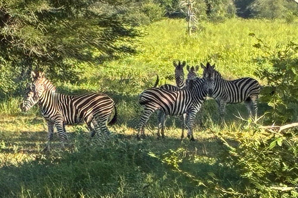8 Day Women's Retreat Beach Safari & Wellness in Unique Africa 32