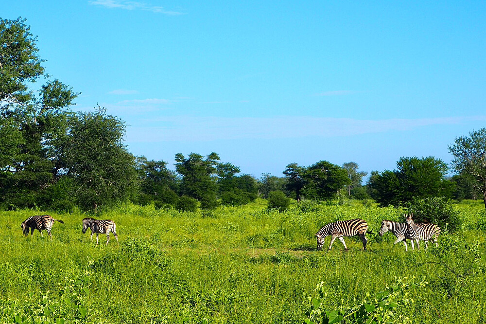 8 Day Women's Retreat Beach Safari & Wellness in Unique Africa 40