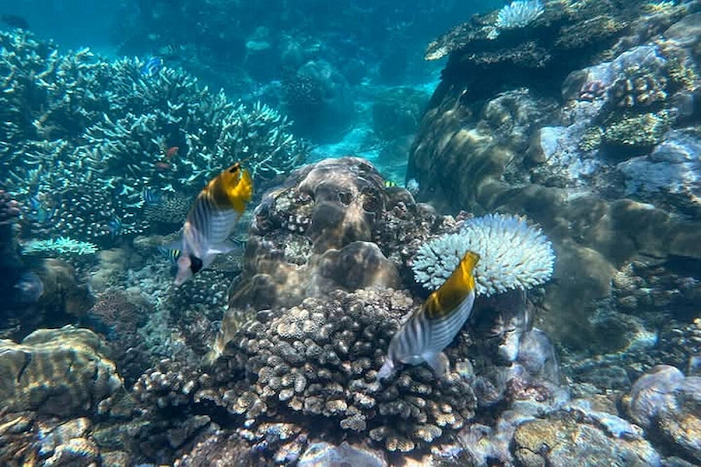 8 Day Women's Retreat Beach Safari & Wellness in Unique Africa 19