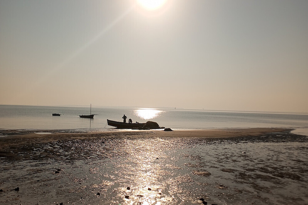 8 Day Women's Retreat Beach Safari & Wellness in Unique Africa 18