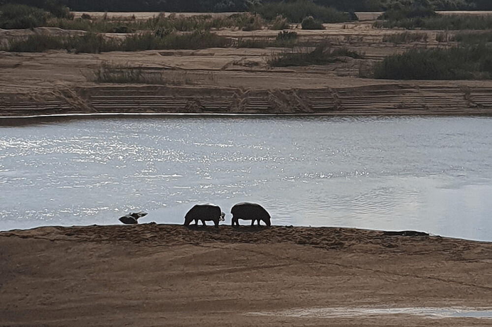 8 Day Women's Retreat Beach Safari & Wellness in Unique Africa 25