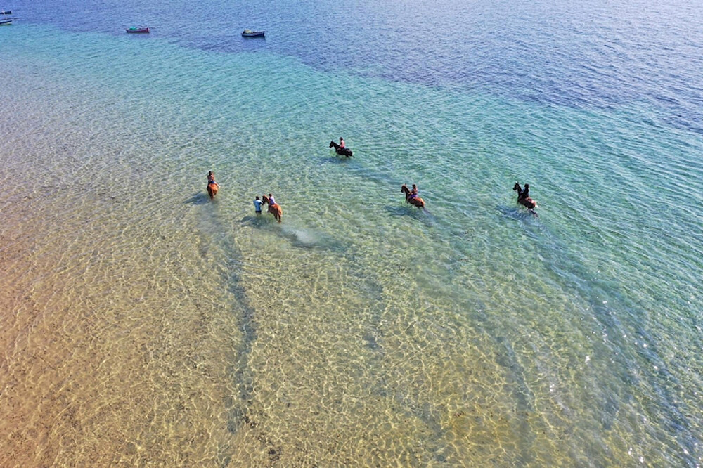 8 Day Women's Retreat Beach Safari & Wellness in Unique Africa 23