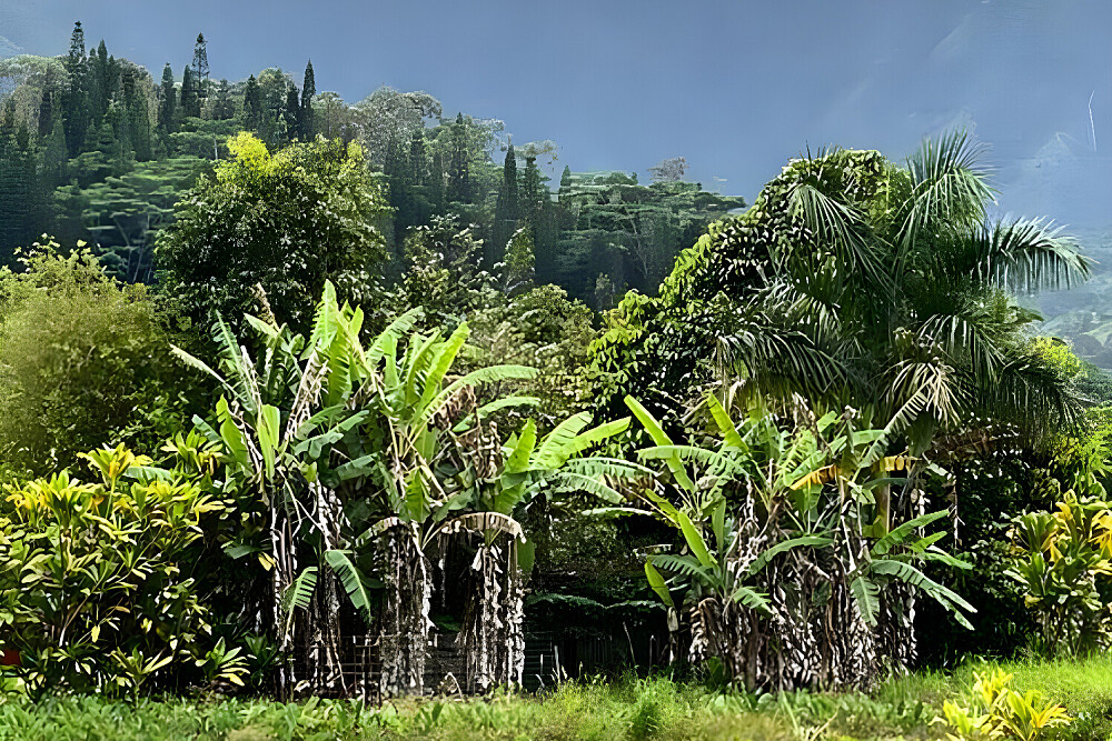 Retraite de yoga et de méditation pour femmes de 8 jours à Kauai, Hawaï, avec aventures 29