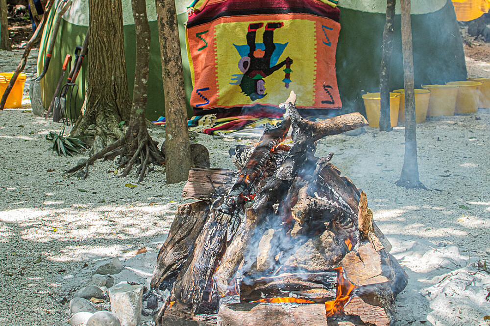 Retiro de Yoga, Ayahuasca e Cura Espiritual de 8 Dias, México 12