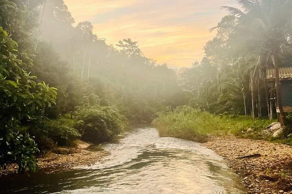 8 Day Yoga, Nature & Culture Retreat in Paksong, South Thailand 5