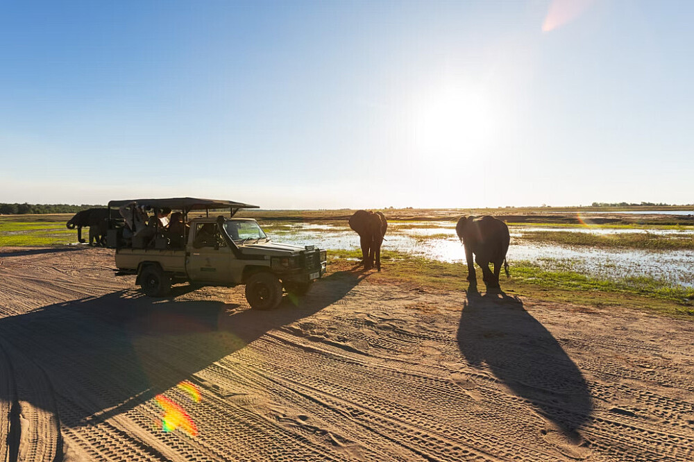 8 dagen yoga en safari: Keer terug naar de wildernis in Botswana, Afrika 43