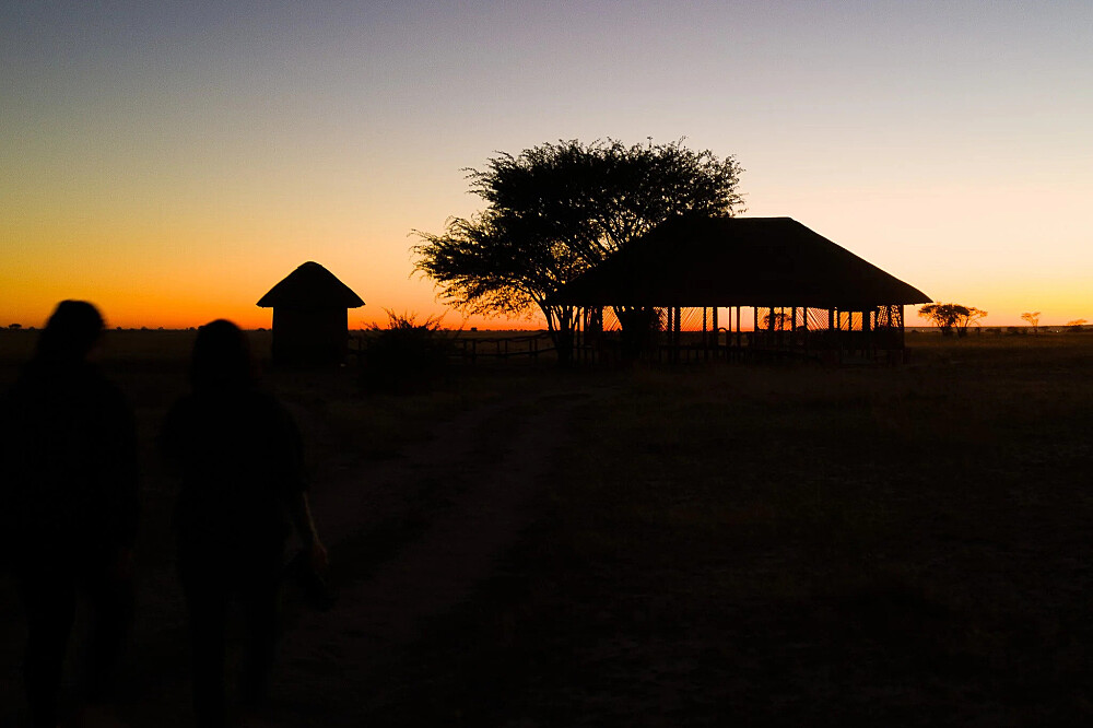 8 dagen yoga en safari: Keer terug naar de wildernis in Botswana, Afrika 21