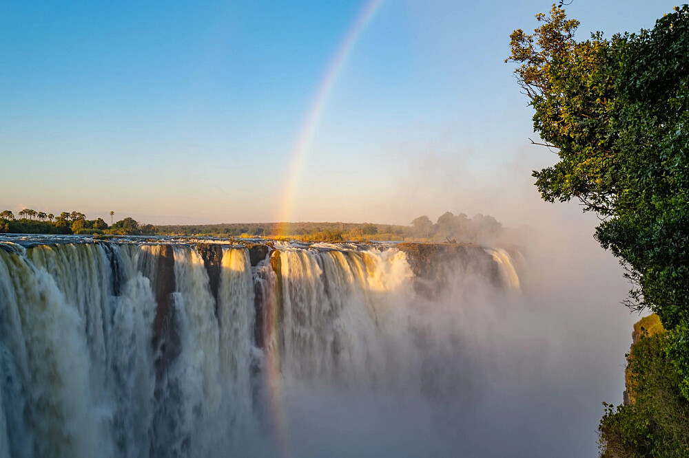 8 Day Yoga & Safari: Return To the Wild in Botswana, Africa 2