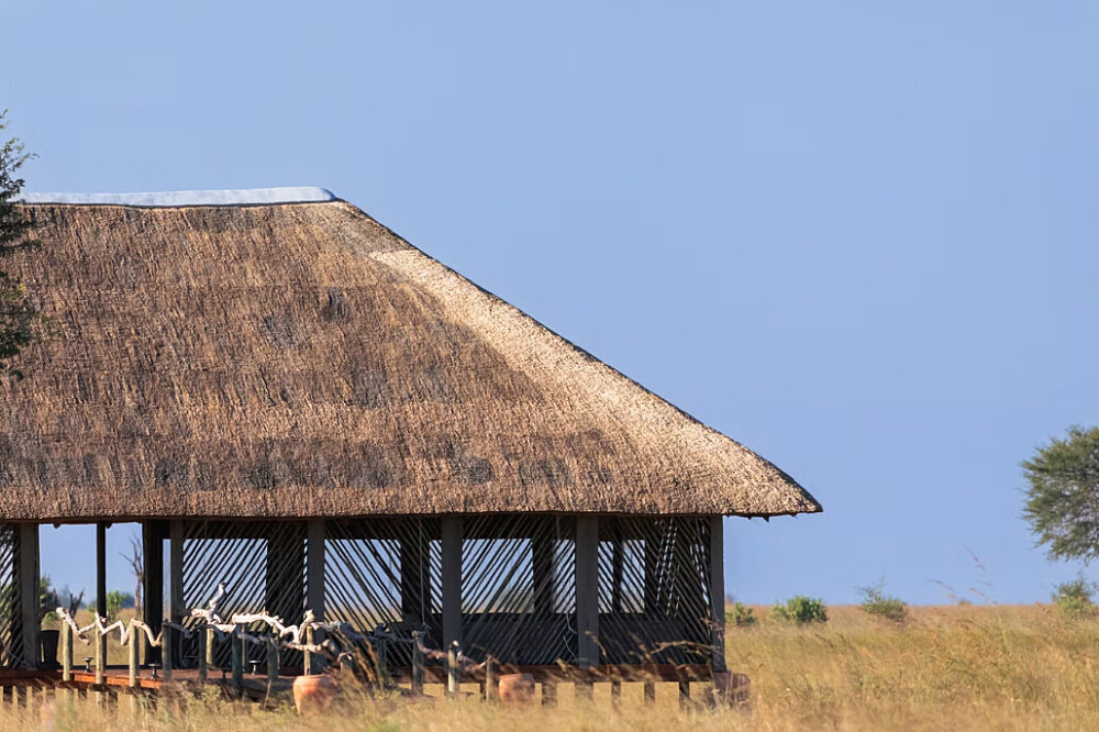 8 dagen yoga en safari: Keer terug naar de wildernis in Botswana, Afrika 47