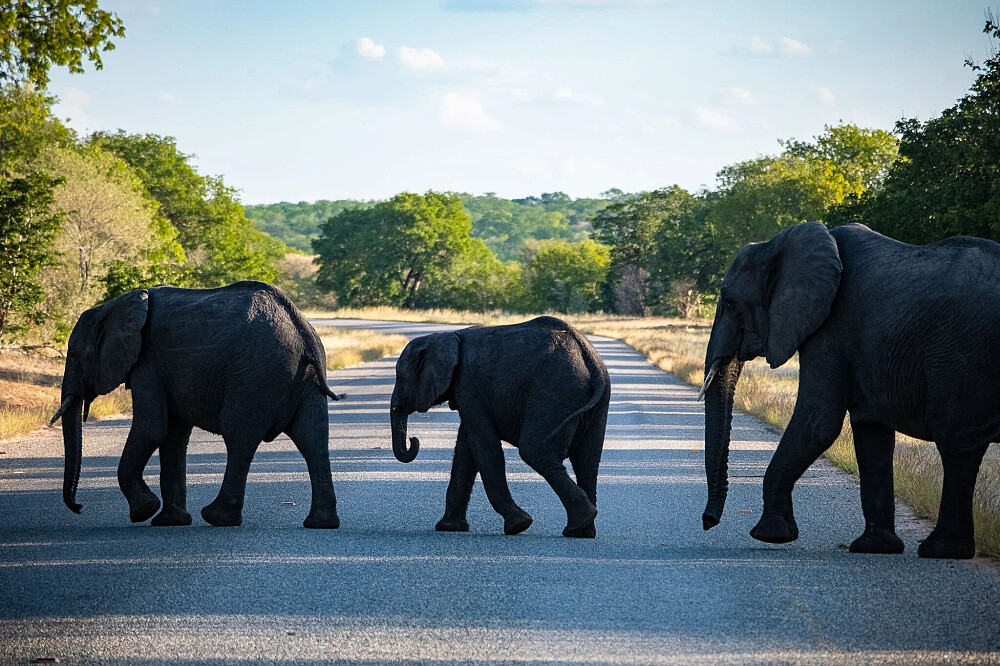 8 dagen yoga en safari: Keer terug naar de wildernis in Botswana, Afrika 14