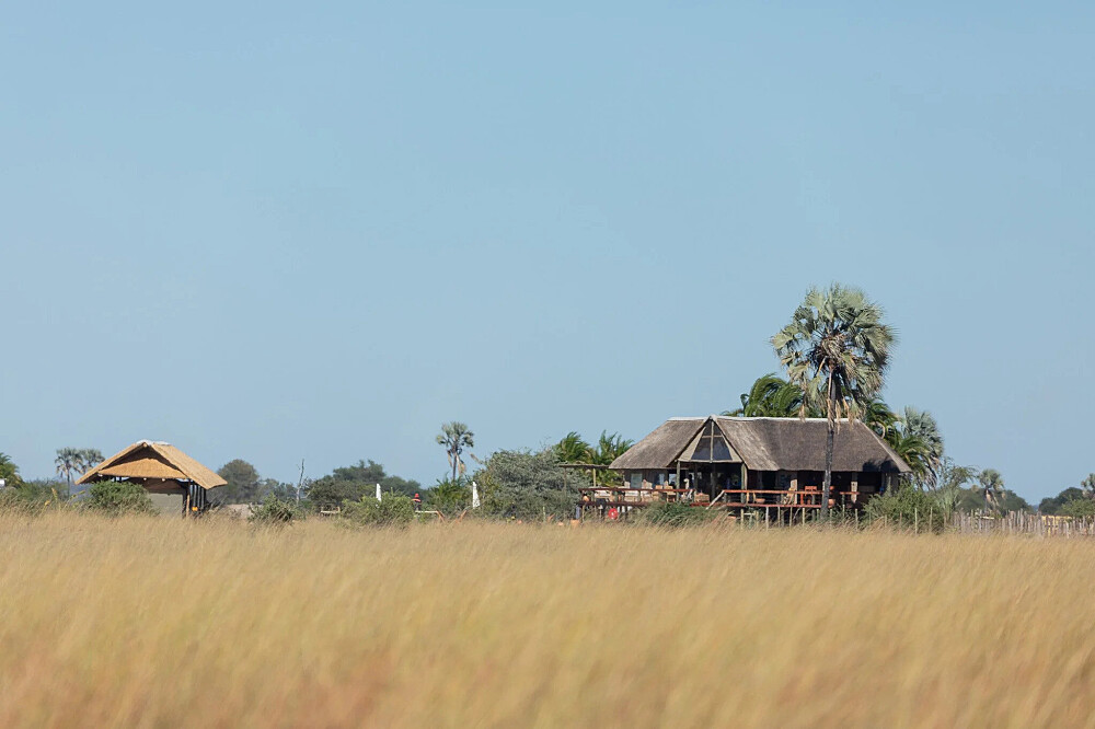8 dagen yoga en safari: Keer terug naar de wildernis in Botswana, Afrika 37