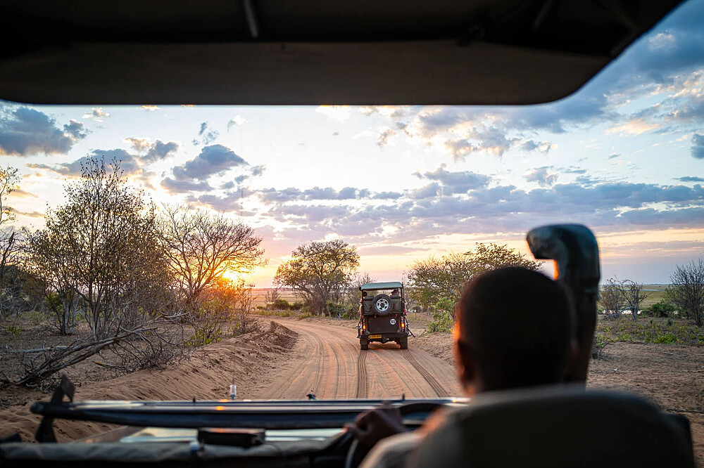 8 dagen yoga en safari: Keer terug naar de wildernis in Botswana, Afrika 19