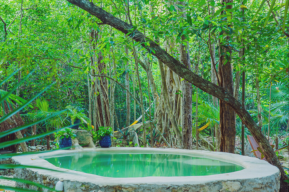 8 Dias de Yoga, Ayahuasca e Retiro de Cura Espiritual no México 27