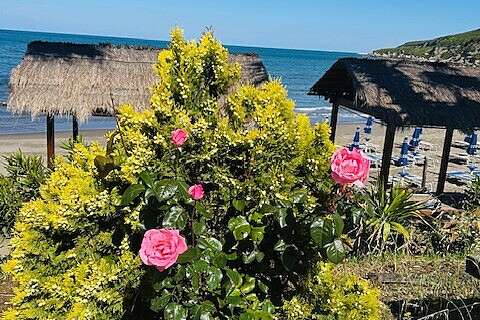 9 Day Wellness Retreat in Albania, Europe: From Mountains to the Sea 10
