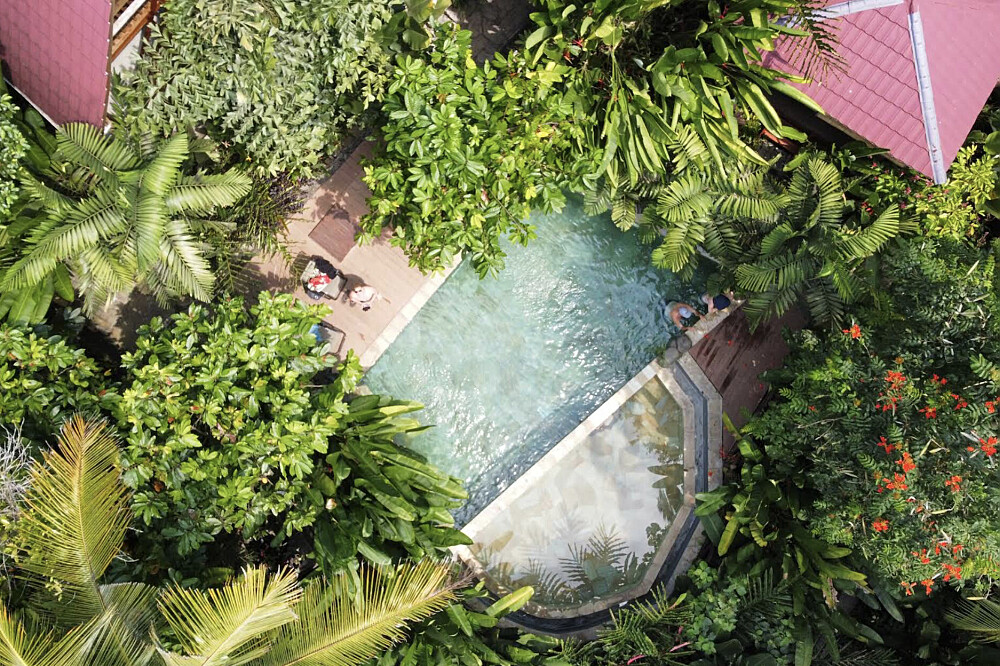 9 Day Gaia New Earth Immersion Retreat in Bali, Indonesia 32