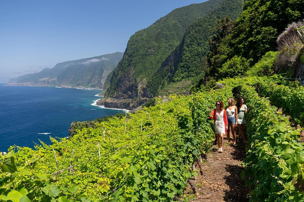 Retiro de Yoga e Exploração da Natureza de 9 Dias na Ilha, Portugal 13