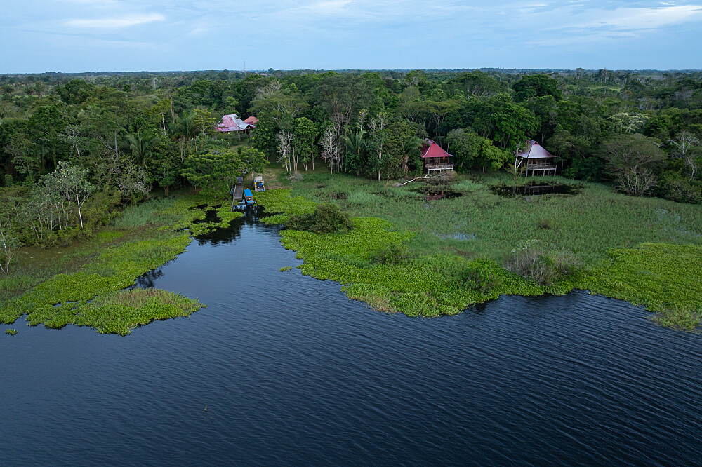 9 Day Shipibo Ayahuasca Retreat & Master Plant Diet in Peru