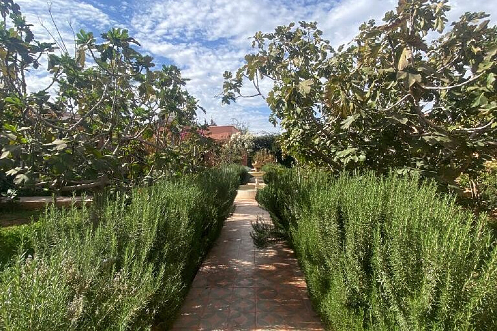 Retraite d’arts martiaux et de méditation de 90 jours à Marrakech, Maroc 15