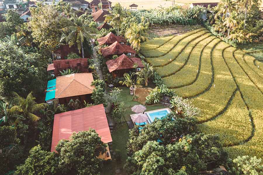 4 Day (Tailored) Spiritual Awakening, Shaman Wellness, Culture, Spa & Yoga Retreat in Bali, Indonesia