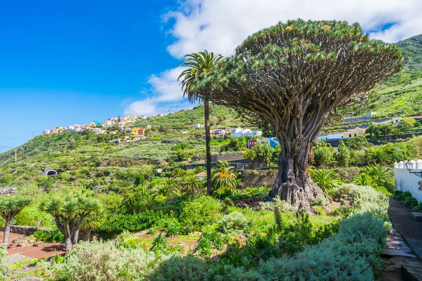 5 daagse unieke meditatiereis op Tenerife, Spanje 7