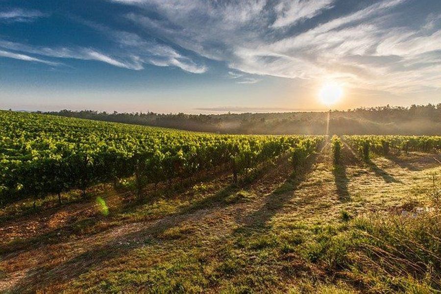 Camino de Santiago Hiking Retreat in southwest France 5