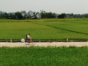 4 Day Spa and Surfing Retreat for Couples in Hoi An, Vietnam