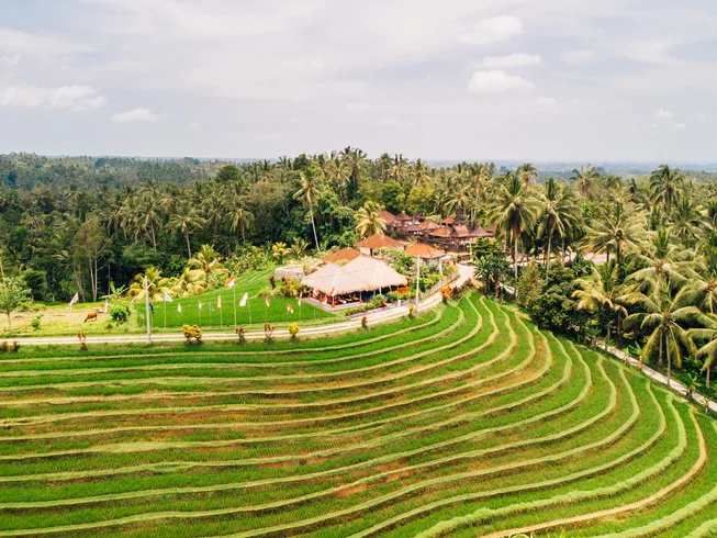 4 Day Spa Therapy and Balinese Watukaru Yoga in Tabanan, Bali, Indonesia 3