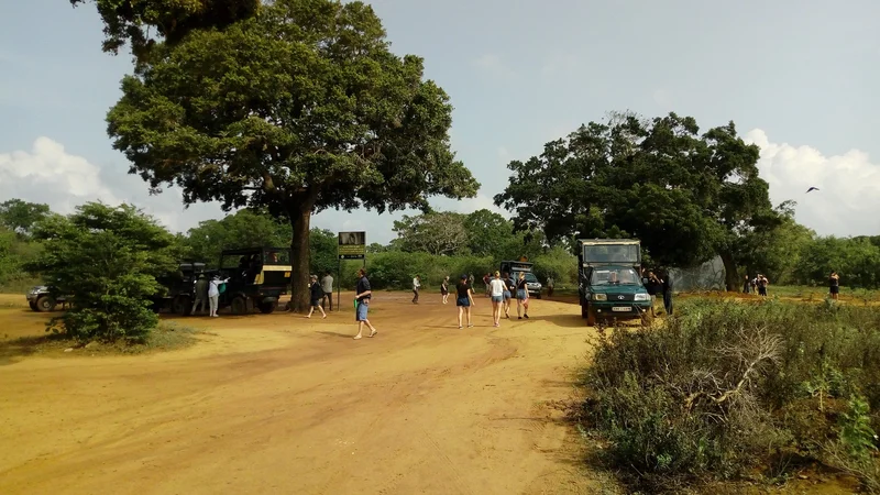 10 Day All-in-One Tour with Surfing, Hiking, Safari, Train Journey, and Sightseeing in Sri Lanka