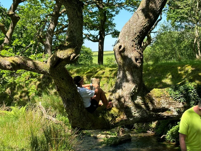 3 Day Deeply Restorative Wellness Retreat - A Weekend of Deep Renewal - South Wales, UK 3
