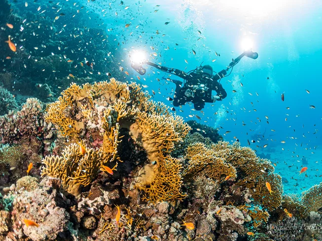 10 Day All Inclusive The Atlantis Call Water Sports and Wellness Retreat in Dahab, South Sinai