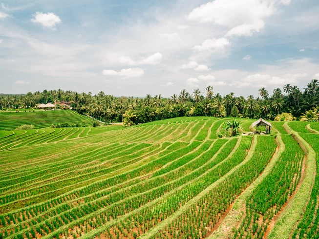 8 Day Relax and Rejuvenate Wellness Yoga Retreats in Bali, Indonesia 3
