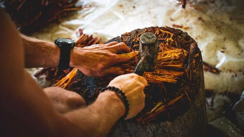 10 Day Immersive Ayahuasca Retreat with Cultural Activities in Pastaza, Ecuador 5