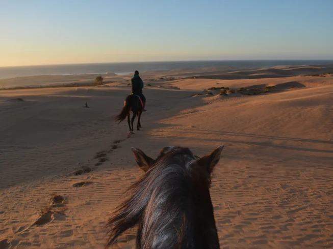 7 Day Horseback Riding with Daily Yoga on the Atlantic Coast of Morocco
