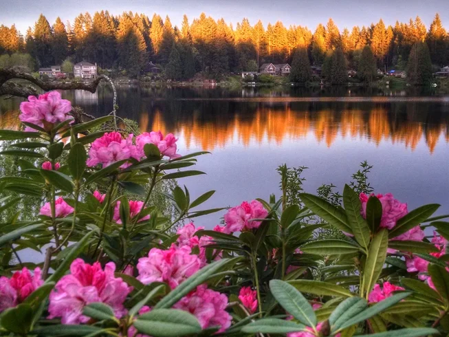3 Day Single or Couple Private Meditation Retreat at Cottage Lake B&B in Woodinville, Washington, USA