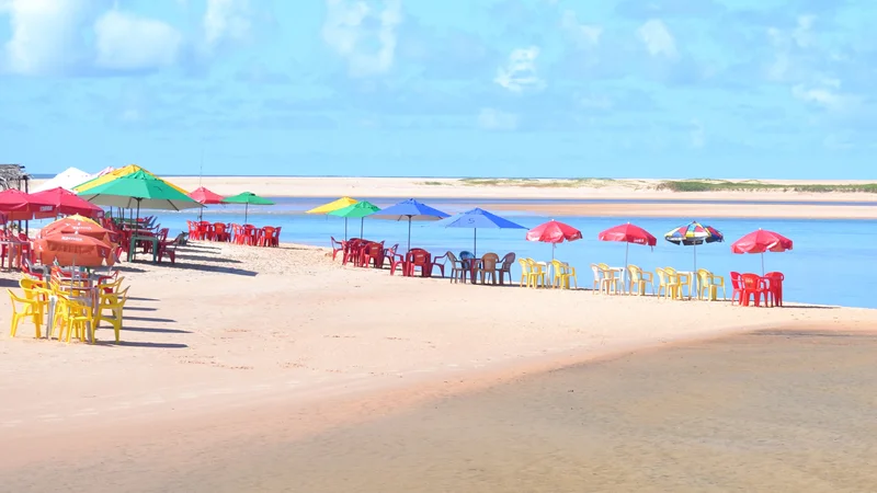 15 Day Wellness Energy Retreat - Yoga Vacation in Bahia, Brazil